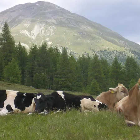 Da Lori Bed & Breakfast