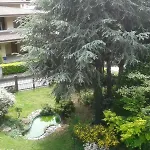 Da Lori