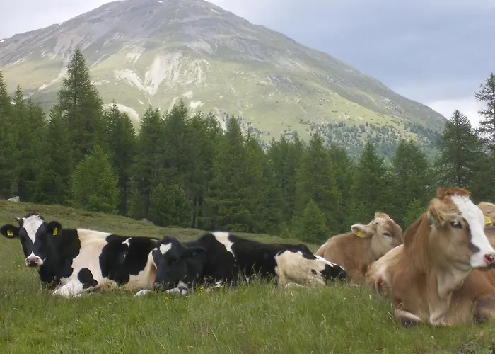 Da Lori Bed & Breakfast