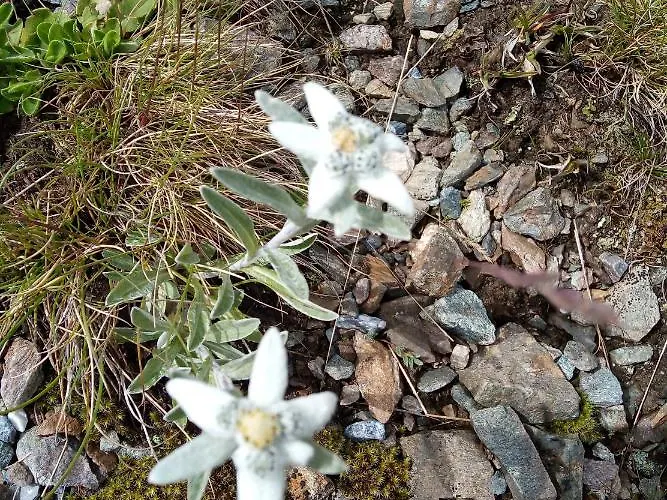 Da Lori Bed & Breakfast